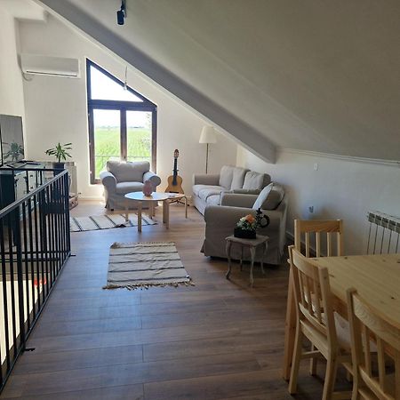 Che Private Rooms Banovci Novi Banovci Екстериор снимка