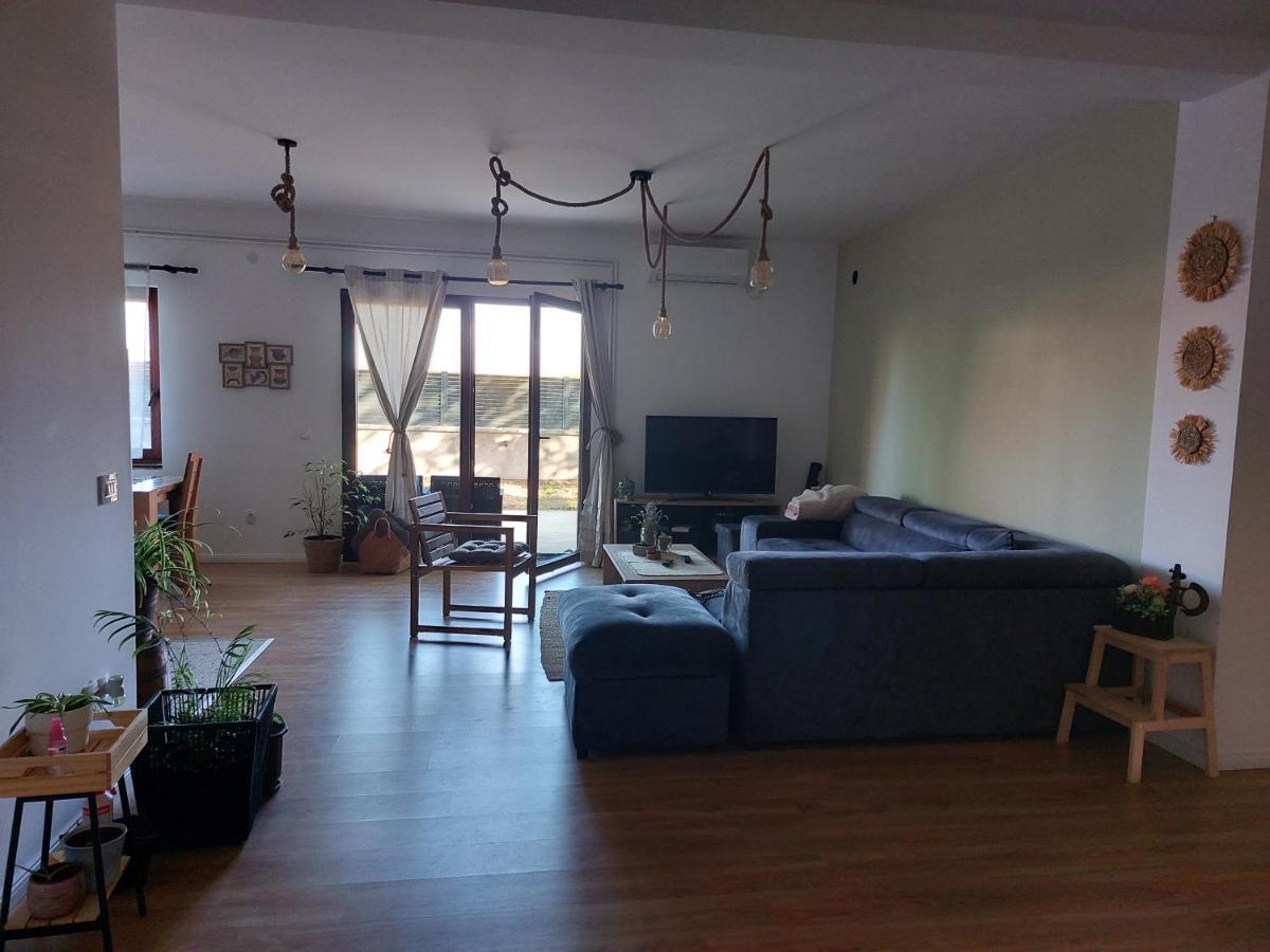 Che Private Rooms Banovci Novi Banovci Екстериор снимка